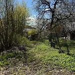 Srub Pod Tresnemi - Cherry Trees Hytte *