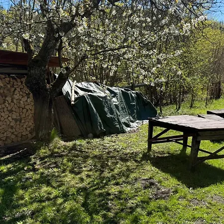 Srub Pod Tresnemi - Cherry Trees * Vrchlabí