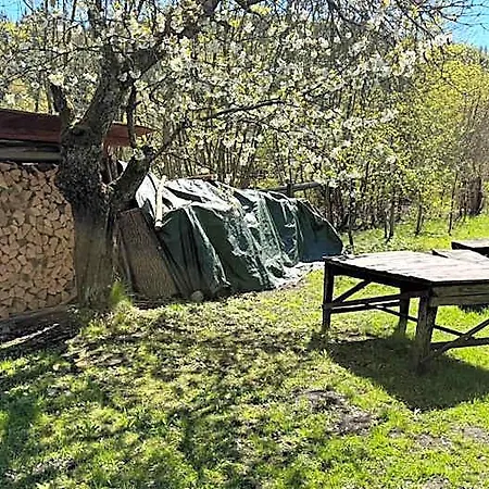 Srub Pod Tresnemi - Cherry Trees 山林小屋 弗尔赫拉比